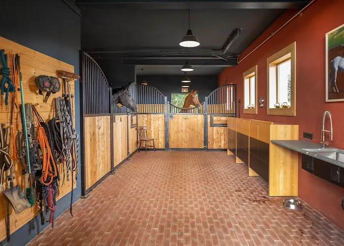 Weites Land * Bad Muenstereifel